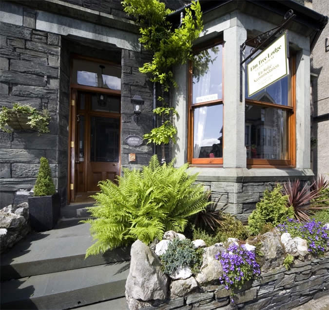 Elm Tree Lodge for year round bed and breakfast